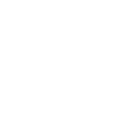 Logo White